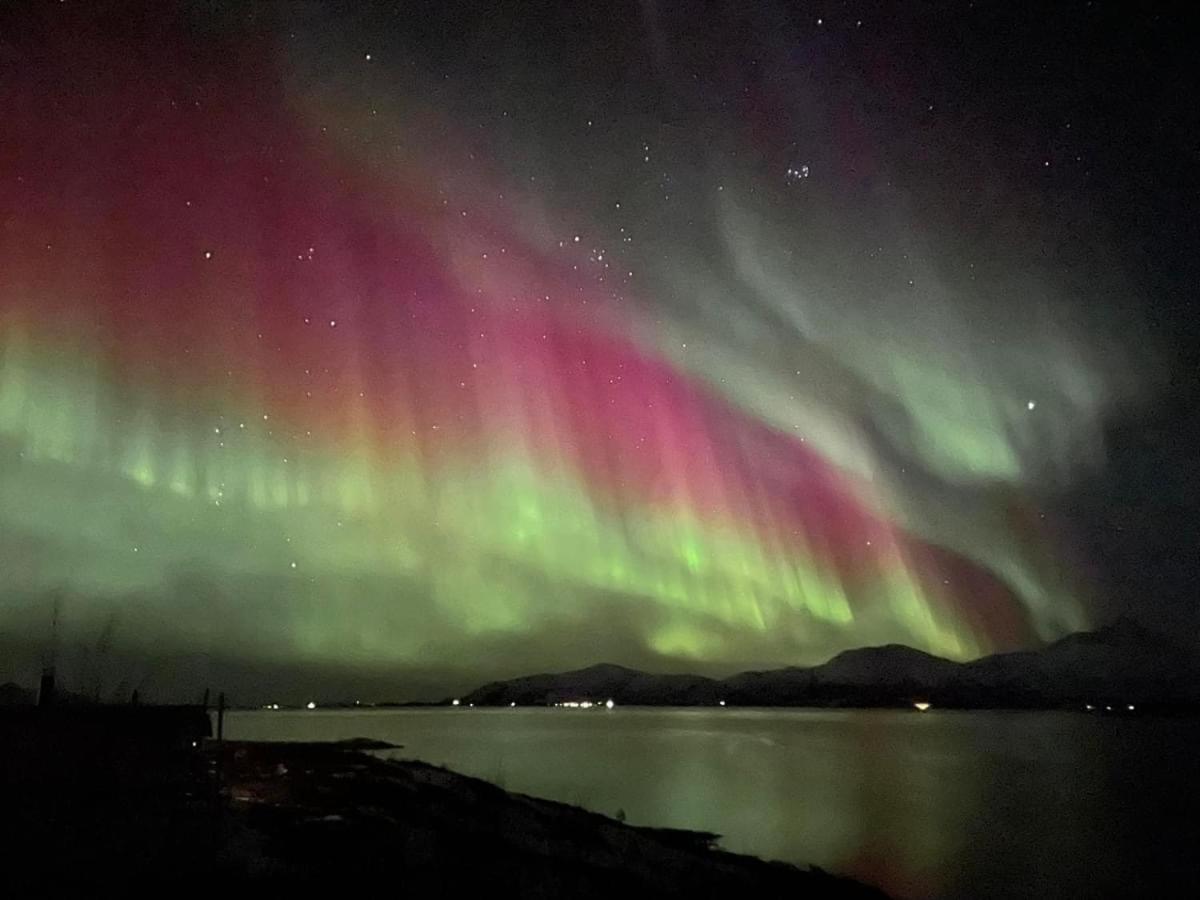2. Etg I Dampskipsbrygga, Lodingen Havn Екстер'єр фото